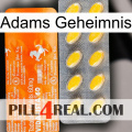 Adams Secret new05